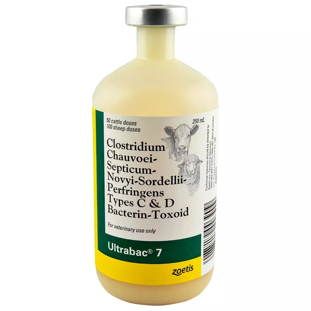 Zoetis Ultrabac 7